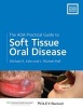 The ADA Practical Guide to Soft Tissue Oral Disease (Paperback) - Michael A Kahn Photo