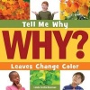 Leaves Change Color (Hardcover) - Linda Crotta Brennan Photo