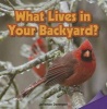 What Lives in Your Backyard? (Paperback) - Jefferson Davenport Photo