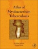 Atlas of Mycobacterium Tuberculosis (Hardcover) - Ali Akbar Velayati Photo