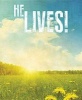 He Lives! Images Easter Bulletin, Large (Pkg of 50) (Loose-leaf) -  Photo