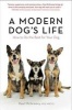 A Modern Dog's Life - How to Do the Best for Your Dog (Paperback) - Paul McGreevy Photo