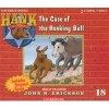 The Case of the Hooking Bull (Standard format, CD) - John R Erickson Photo