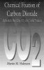 Chemical Fixation of Carbon Dioxidemethods for Recycling Co2 into Useful Products - Methods of Recycling Co2 into Useful Products (Hardcover) - MM Halmann Photo