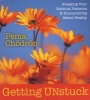 Getting Unstuck (CD) - Pema Chodron Photo