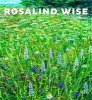 Rosalind Wise 2017 Wall Calendar (Calendar) -  Photo