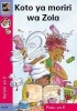 Koto Ya Moriri Wa Zola, Book 5 - Gr 2 (Sotho, Northern, Paperback) - M Slingsby Photo