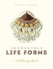 Incredible Life Forms - A Coloring Book (Paperback) - Ernst Haeckel Photo