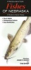 Freshwater Fishes of Nebraska - A Guide to Game Fishes (Book) - Craig Springer Photo