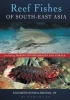 Reef Fishes of South-East Asia (Paperback) - Michael Aw Photo