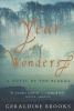 Year of Wonders - A Novel of the Plague (Paperback, New Ed) - Geraldine Brooks Photo