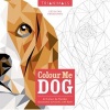 Trianimal: Colour Me Dog (Paperback) - Cetin Can Karaduman Photo