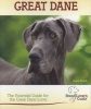 Great Dane - A Practical Guide for the Great Dane (Hardcover) - Janice Biniok Photo