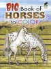 Big Book of Horses to Color (Paperback) - John Green Photo