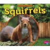 Squirrels (Hardcover) - Gail Saunders Smith Photo