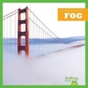 Fog (Hardcover) - Jenny Fretland Vanvoorst Photo