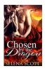 Chosen by the Dragon (Paperback) - Selena Scott Photo