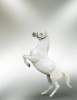 Jumbo Oversized Beautiful Rearing White Horse on a Silver Background - Blank 150 Page Lined Journal for Your Thoughts, Ideas, and Inspiration (Paperback) - Unique Journal Photo