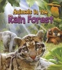 Animals in the Rain Forest (Hardcover) - Simon Mendez Photo