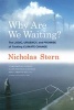 Why are We Waiting? - The Logic, Urgency, and Promise of Tackling Climate Change (Paperback) - Nicholas Stern Photo