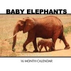 Baby Elephants Calendar 2017 - 16 Month Calendar (Paperback) - David Mann Photo