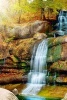 A Beautiful Waterfall in the Woods of Virginia - Blank 150 Page Lined Journal for Your Thoughts, Ideas, and Inspiration (Paperback) - Unique Journal Photo