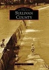 Sullivan County (Paperback) - Joe Tennis Photo