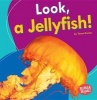 Look, a Jellyfish! (Paperback) - Tessa Kenan Photo