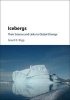 Icebergs - Their Science and Links to Global Change (Hardcover) - Grant R Bigg Photo