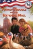 Turkey Trouble on the National Mall (Hardcover) - Ron Roy Photo