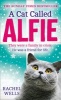 A Cat Called Alfie (Hardcover) - Rachel Wells Photo