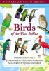 Birds of the West Indies (Paperback, New) - Herbert A Raffaele Photo