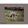 : On Reading (Hardcover) - Steve McCurry Photo