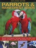 Exploring Nature: Parrots & Rainforest Birds - Macaws, Hummingbirds, Flamingos, Toucans and Other Exotic Species, All Shown in More Than 180 Pictures (Hardcover) - Tom Jackson Photo