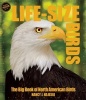 Life Size Birds - The Big Book of North American Birds (Hardcover) - Nancy J Hajeski Photo