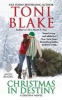 Christmas in Destiny - A Destiny Novel (Paperback) - Toni Blake Photo