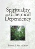 Spirituality and Chemical Dependency (Paperback) - Robert J Kus Photo