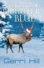 Chasing a Brighter Blue (Paperback) - Gerri Hill Photo