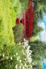 A Beautiful Red Bridge in the Garden - Blank 150 Page Lined Journal for Your Thoughts, Ideas, and Inspiration (Paperback) - Unique Journal Photo