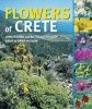 Flowers of Crete (Hardcover) - John Fielding Photo