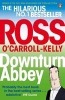 Downturn Abbey (Paperback) - Ross Ocarroll Kelly Photo