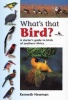 What's That Bird? - A Starter's Guide to Birds of Southern Africa (Paperback) - Kenneth Newman Photo