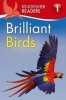 Kingfisher Readers L1: Brilliant Birds (Paperback) - Thea Feldman Photo