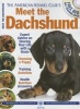 The 's Meet the Dachshund - The Responsible Dog Owner's Handbook (Paperback) - American Kennel Club Photo