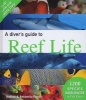 A Diver's Guide to Reef Life (Hardcover) - Andrea Ferrari Photo