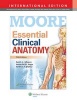 Essential Clinical Anatomy (Paperback, Revised international ed.) - Keith L Moore Photo