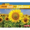 From Seed to Sunflower (Paperback) - Mari C Schuh Photo