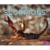 Scorpions (Hardcover) - Rose Davin Photo