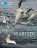 RSPB Seabirds (Hardcover) - Marianne Taylor Photo