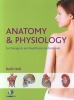 Anatomy and Physiology for Therapists and Healthcare Professionals (Paperback) - Ruth Hull Photo